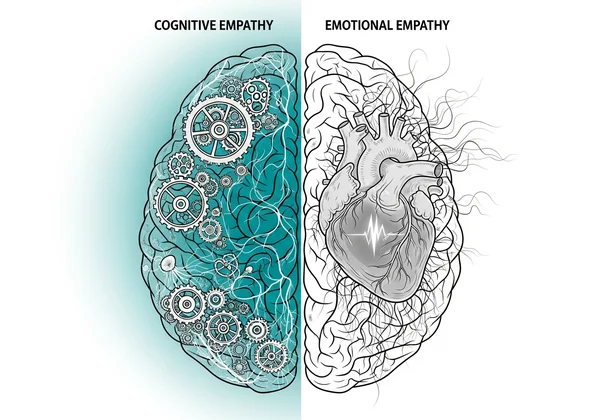 Cognitive vs emotional empathy brain illustration